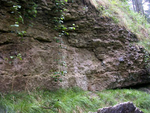Stop 3: Much Wenlock Limestone Formation - Wenlock Series and Lower Elton Formation